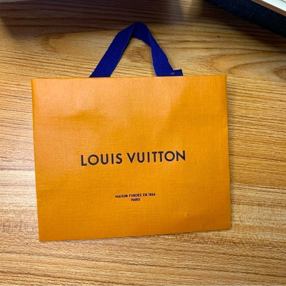 Small Louis Vuitton gift bag